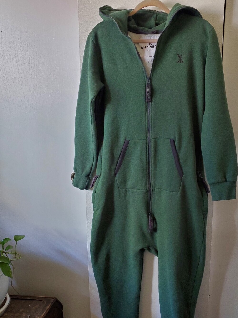 Onepiece Hooded Full-Zip Onepiece in Dark Green